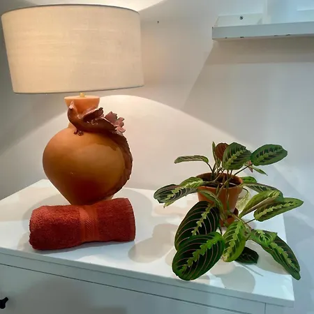 Maison Terra *