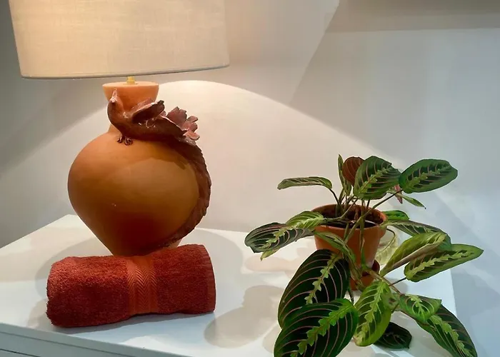 Maison Terra *